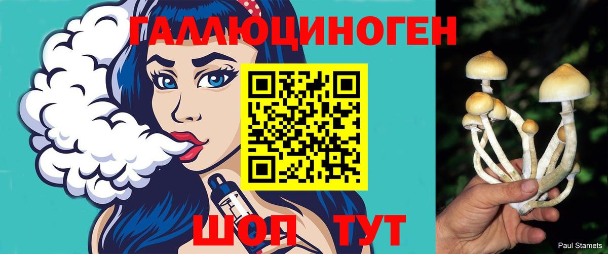 Галлюциногенные грибы Cubensis  Вход с VPN  Сибай 